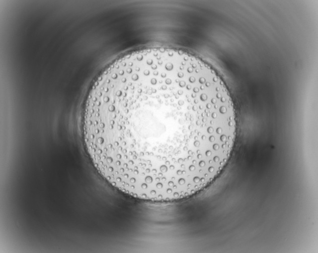 X0000088150856200706111442