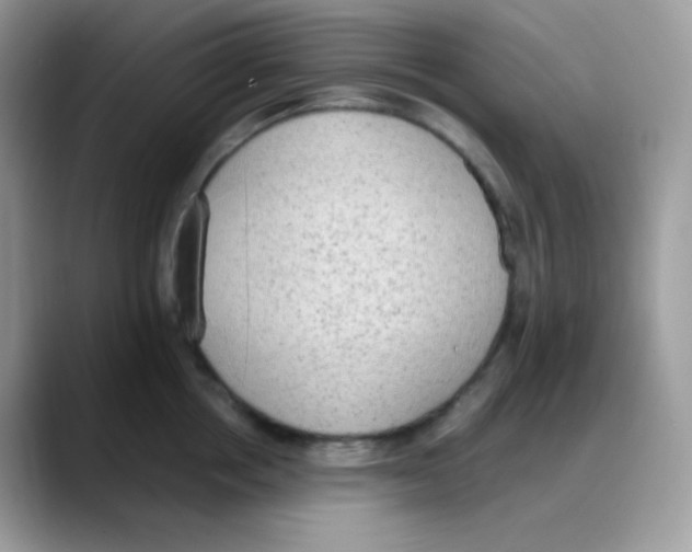 X0000088150858200706111442