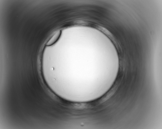 X0000088150859200706111442