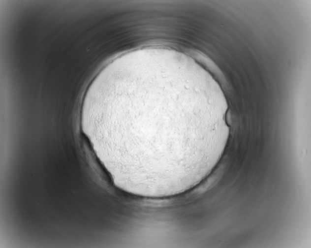 X0000088150860200706111442