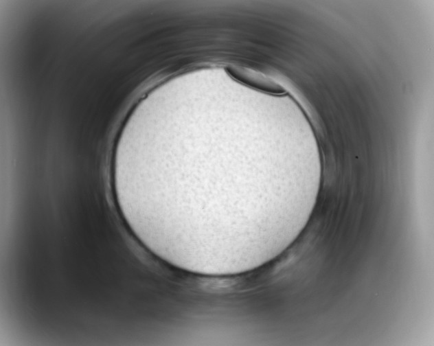 X0000088150861200706111442