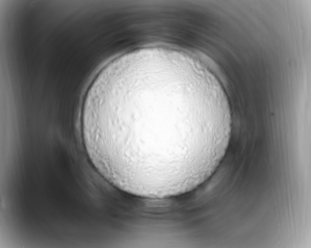 X0000088150863200706111442