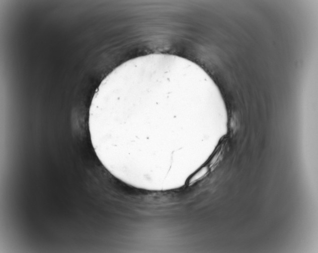 X0000088150867200706111442