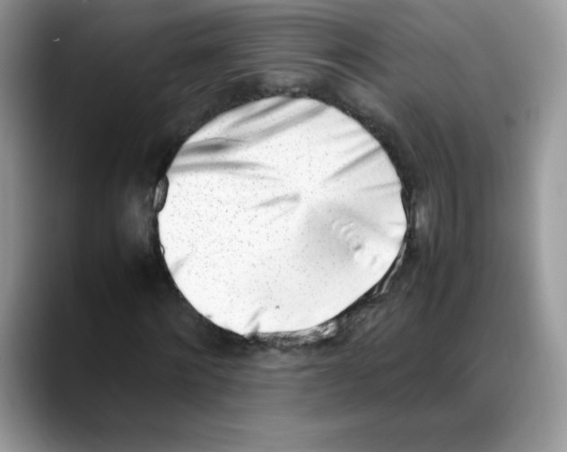 X0000088150868200706111442