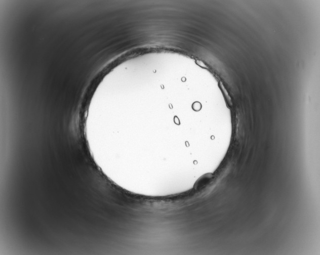 X0000088150876200706111441