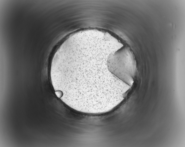 X0000088150877200706111441