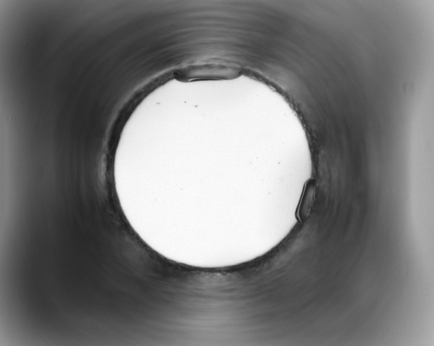 X0000088150880200706111441