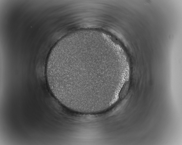 X0000088150881200706111441