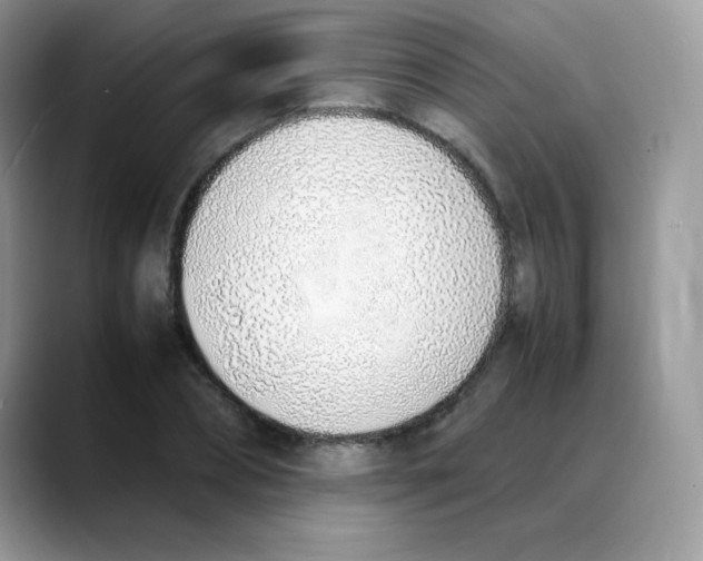 X0000088150882200706111441