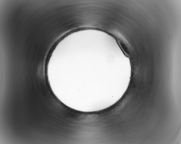 X0000088150884200706111441