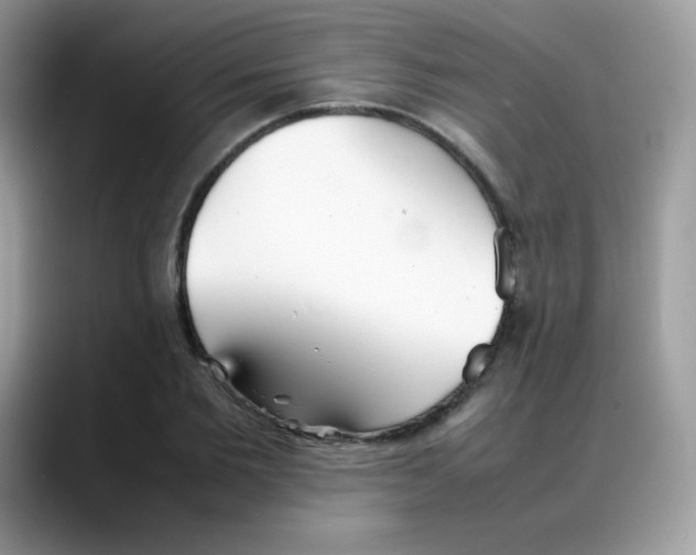 X0000088150885200706111441