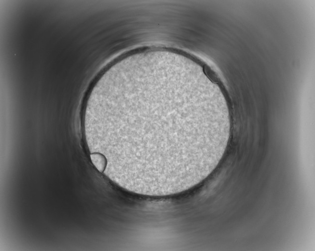 X0000088150887200706111441