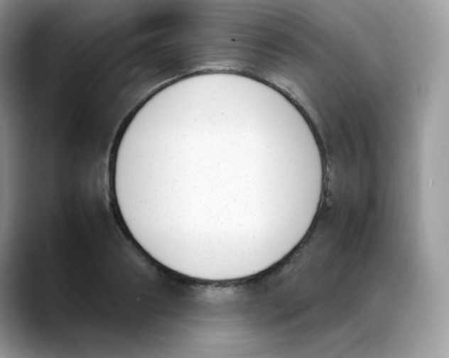 X0000088150890200706111441