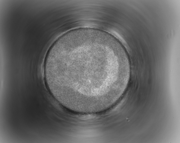 X0000088150891200706111441