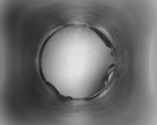 X0000088150893200706111441