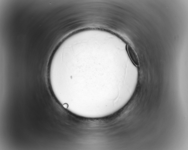 X0000088150895200706111441