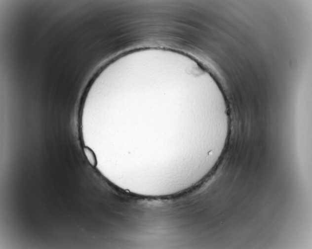 X0000088150896200706111441