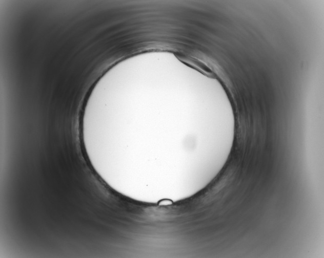 X0000088150898200706111441