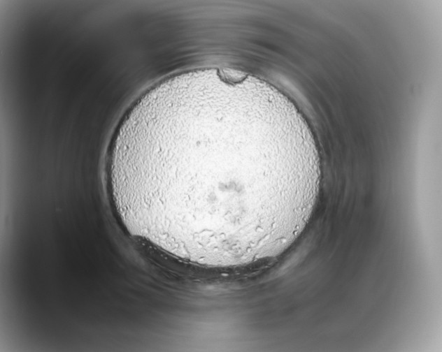 X0000088150899200706111441