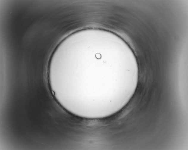 X0000088150903200706111441