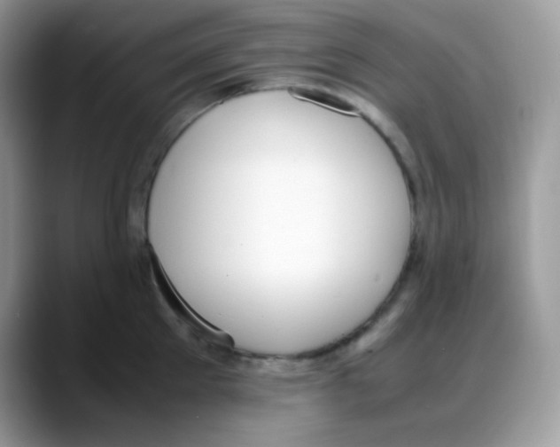 X0000088150905200706111441