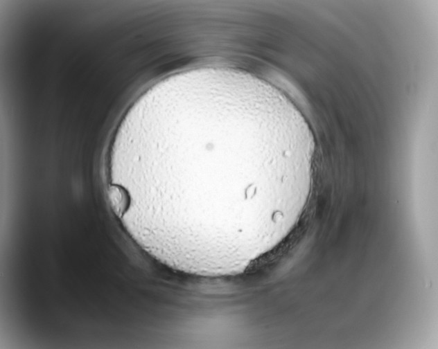 X0000088150907200706111441