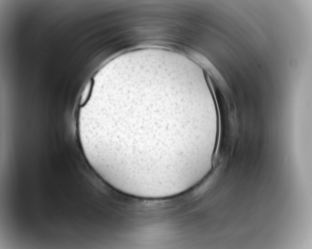 X0000088150908200706111441