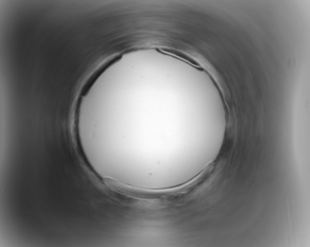 X0000088150909200706111441