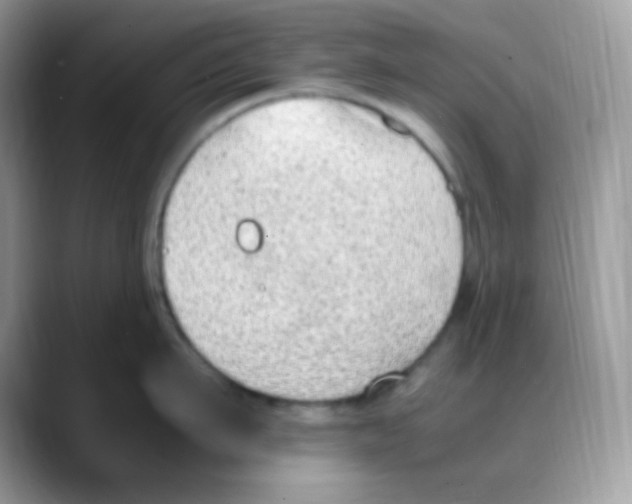 X0000088150911200706111441