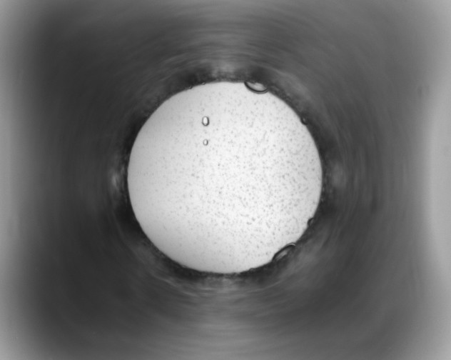 X0000088150914200706111441