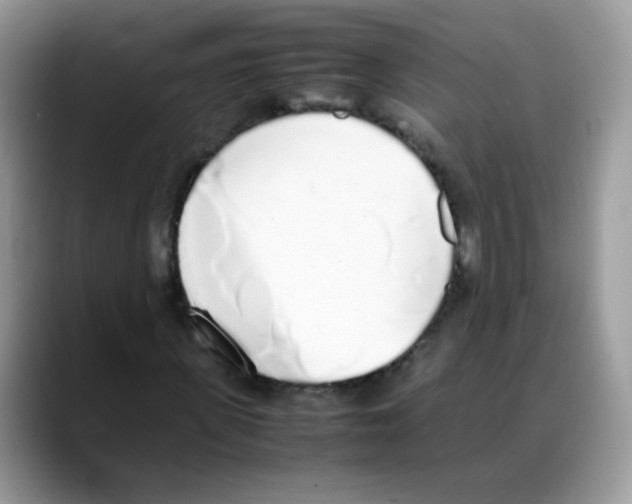 X0000088150915200706111441