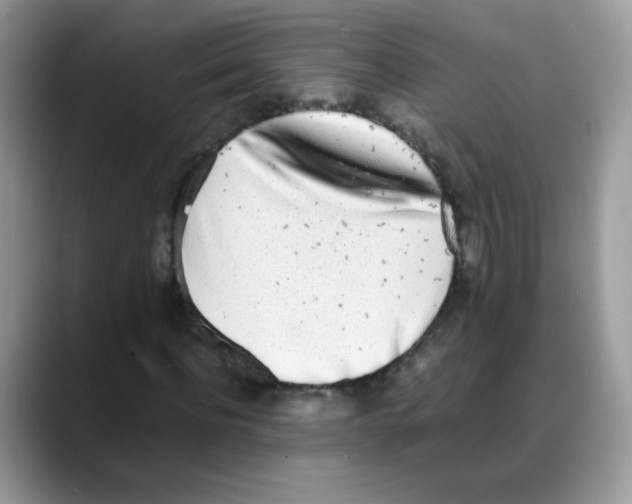 X0000088150916200706111441