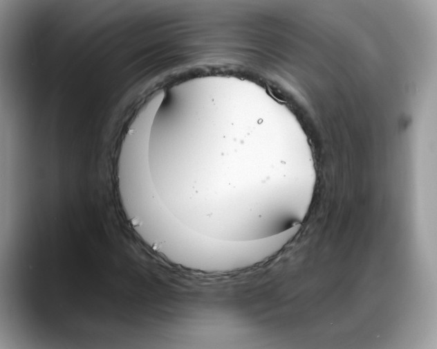 X0000088150920200706111441