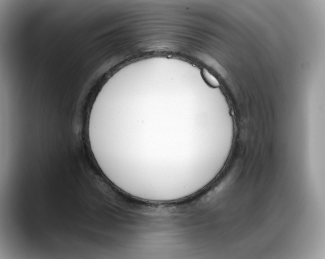 X0000088150922200706111441