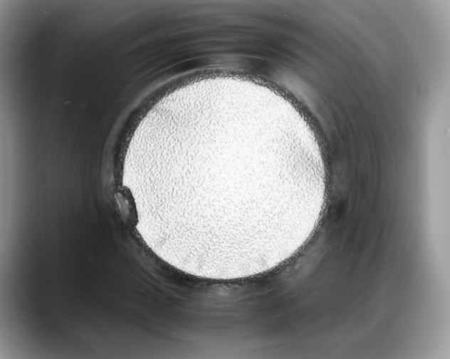 X0000088150923200706111441