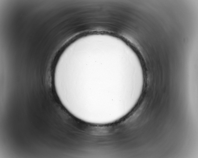 X0000088150925200706111441