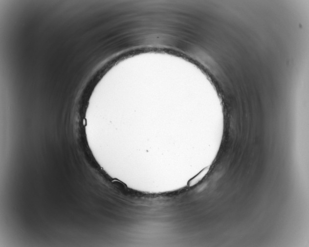 X0000088150926200706111441