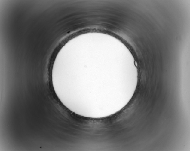 X0000088150927200706111441