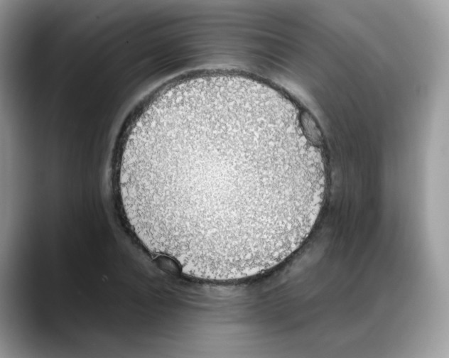 X0000088150928200706111441