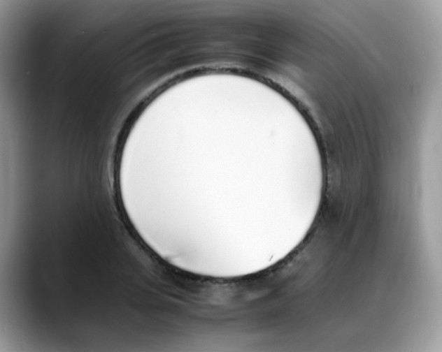 X0000088150935200706111441