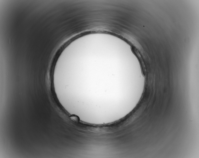 X0000088150936200706111441