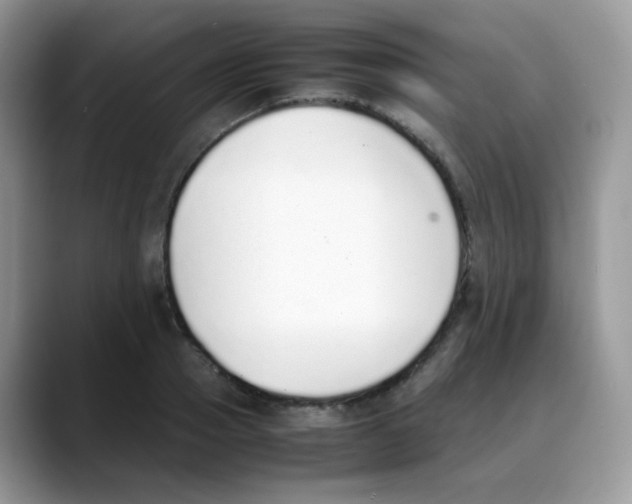 X0000088150937200706111441