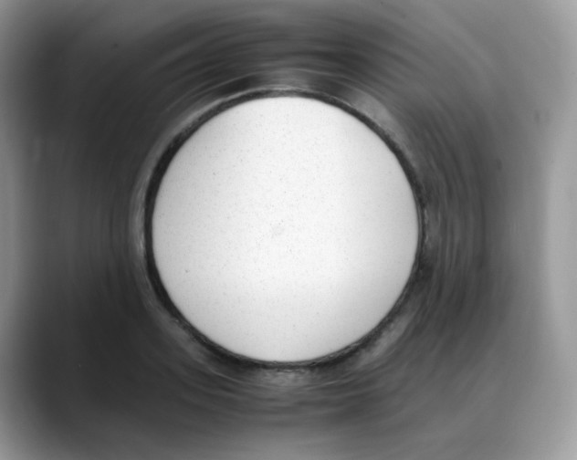 X0000088150939200706111441