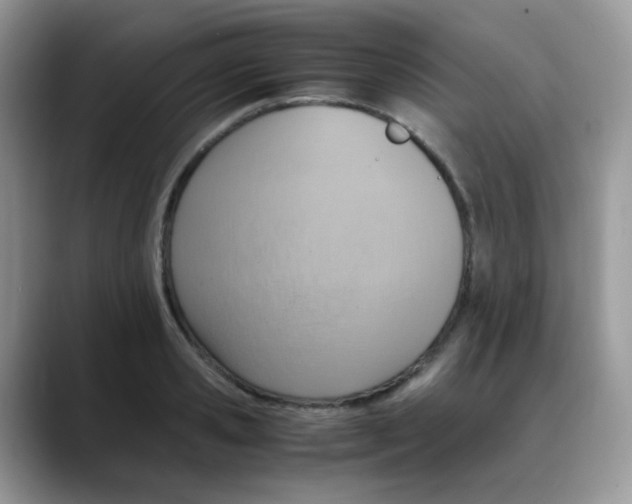 X0000088150941200706111441