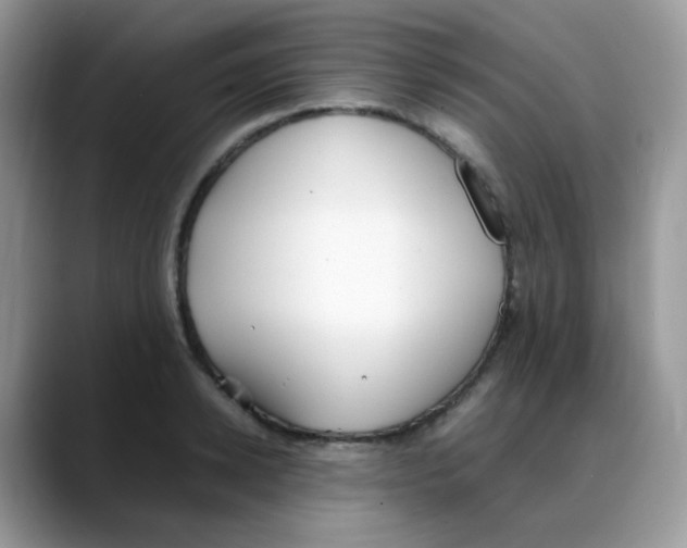 X0000088150942200706111441