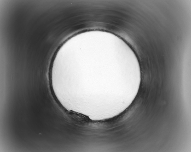 X0000088150943200706111441