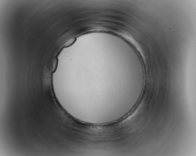 X0000088150945200706111441