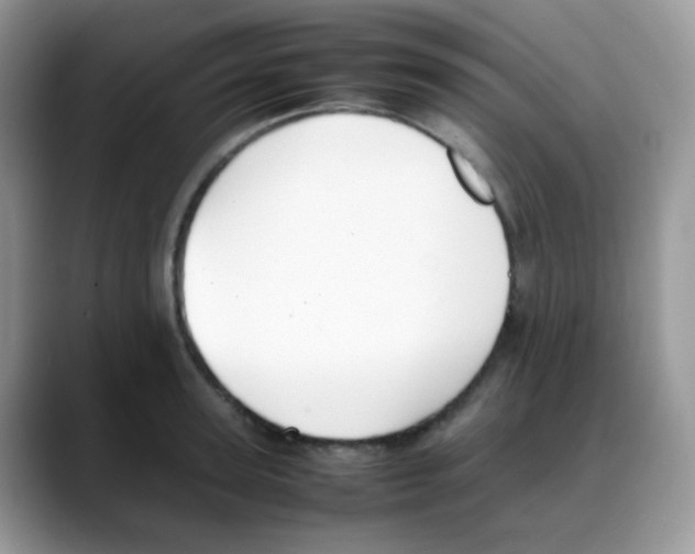 X0000088150947200706111441