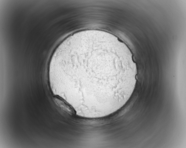 X0000088150948200706111441