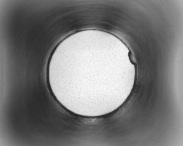 X0000088150949200706111441